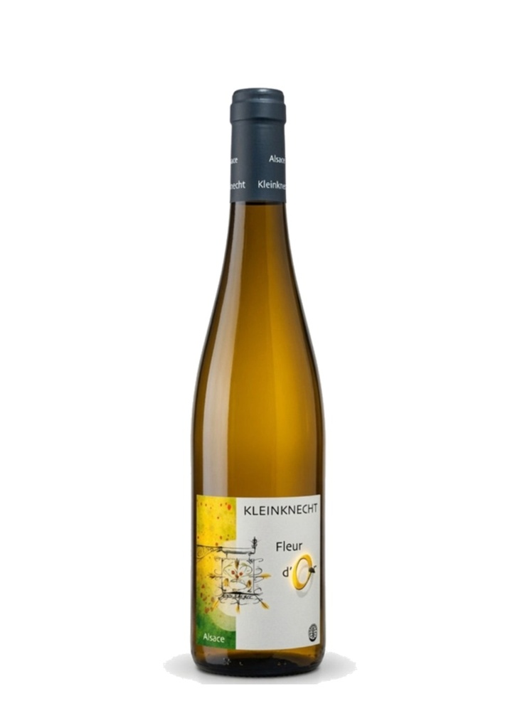 [20466] Kleinknecht - Fleur d'Or 2024 - Blanc - 75cl