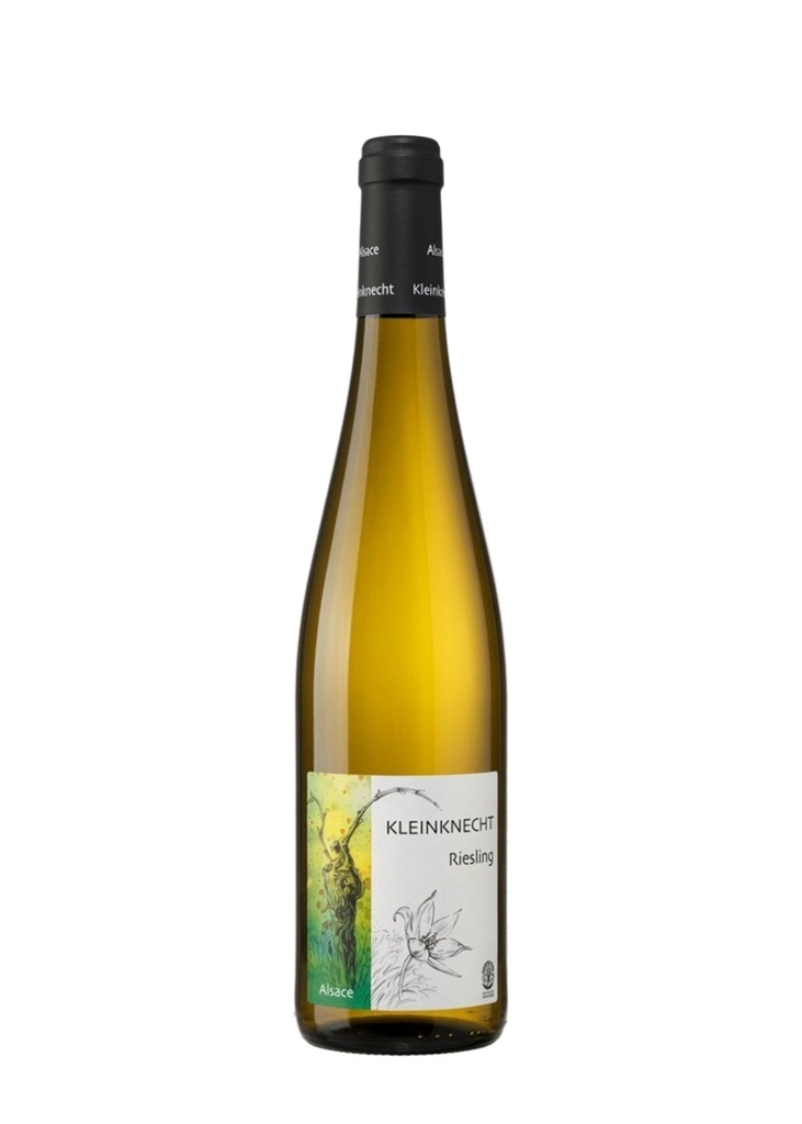 [20471] Kleinknecht - Riesling 2023 - Blanc - 75cl