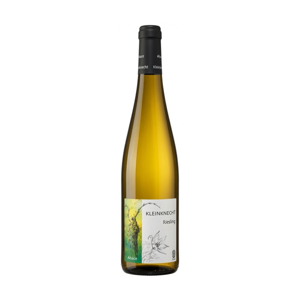[20471] Kleinknecht Riesling 2023 - Blanc - 75cl
