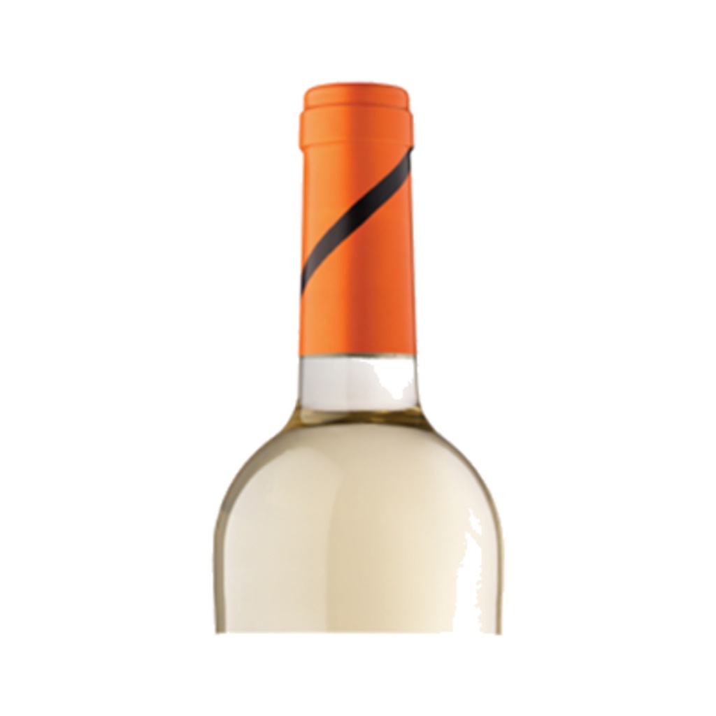 Ramon Roqueta Chardonnay 2024 - Blanc - 75cl