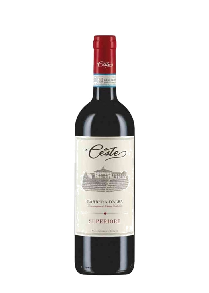 Ceste Barbera Dalba Superior 2021 - Rouge - 75cl