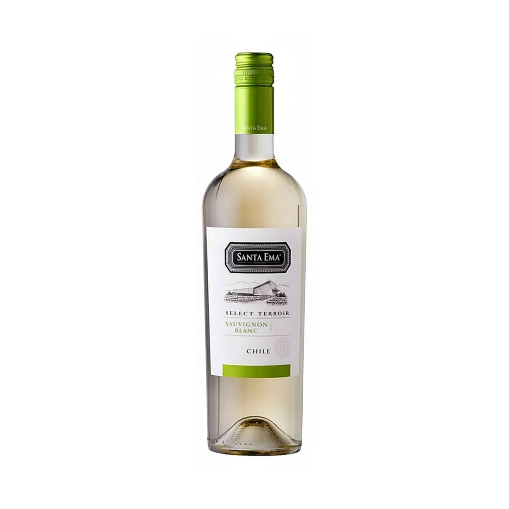 Santa Ema Sauvignon Blanc Chili 2024 - Blanc - 75cl