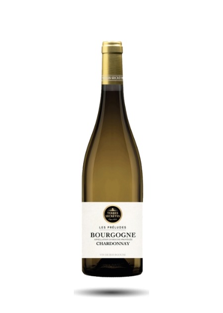 Terres Secrètes - Les Préludes - Bourgogne Chardonnay 2023 - Blanc - 75cl