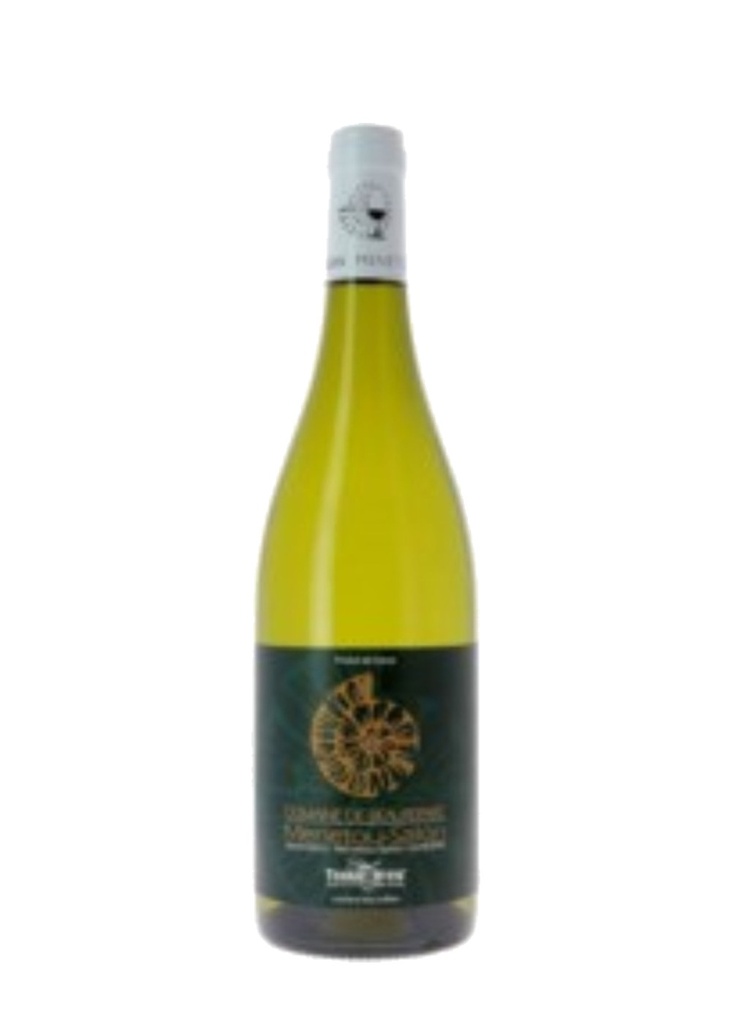 Dom. De Beaurepaire Menetou Salon 2025 - Blanc - 75cl